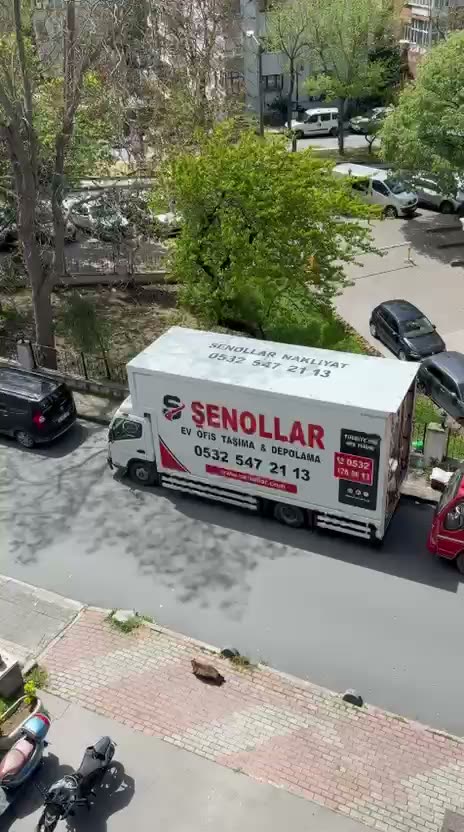 Adres Önünde Şenollar